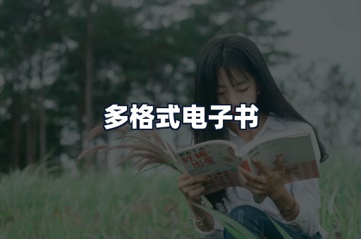 多格式电子书